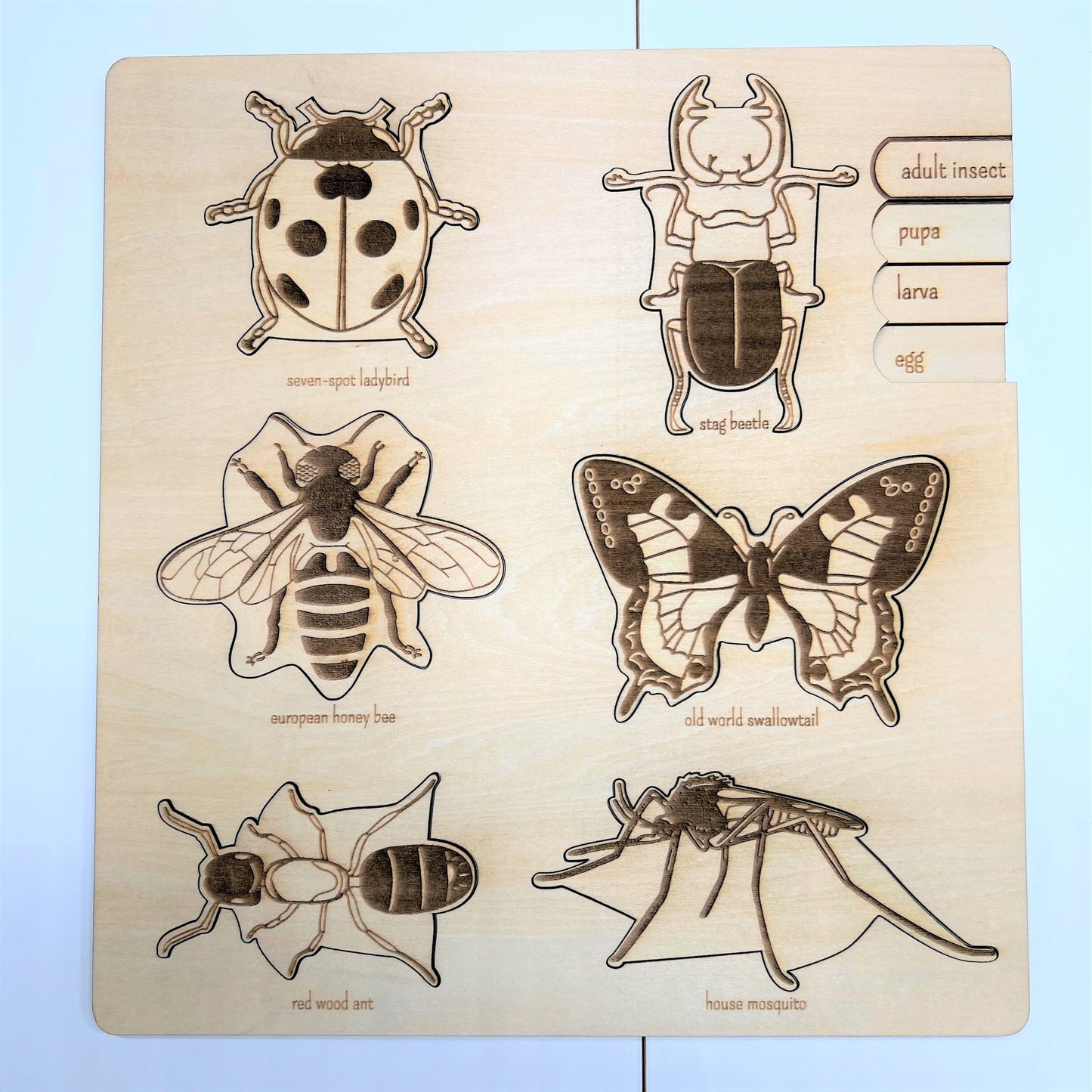 **pre-order (ships in 3-4 weeks)**educational multi-layered wooden puzzle