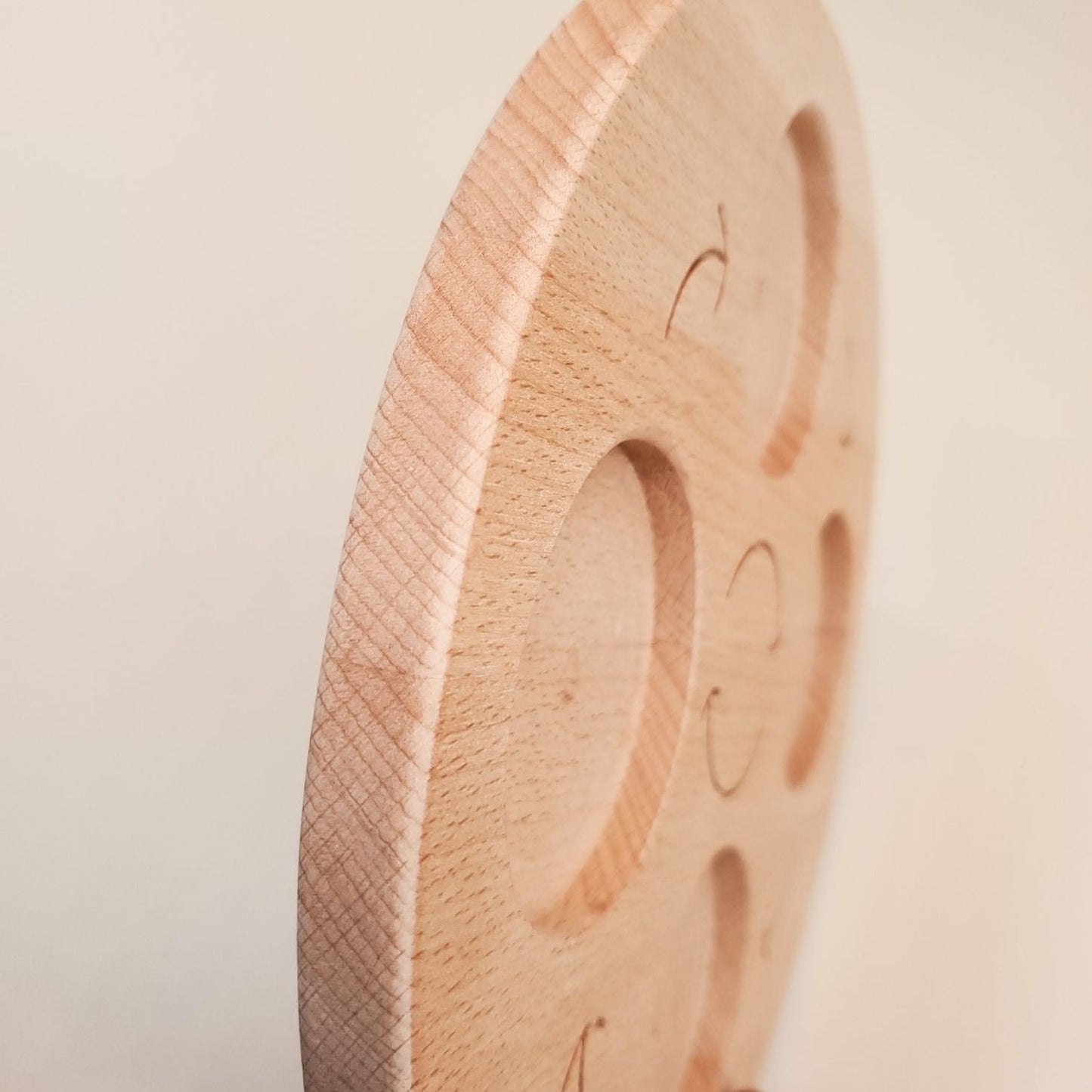 double sided wooden life cycle board