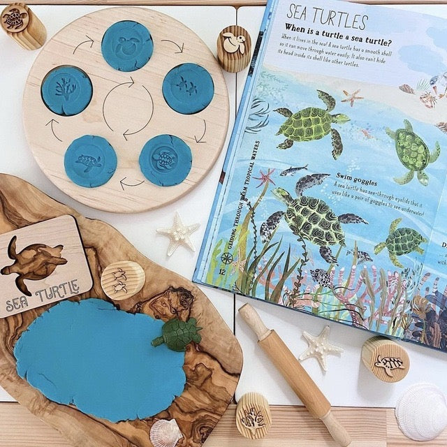 double sided wooden life cycle board