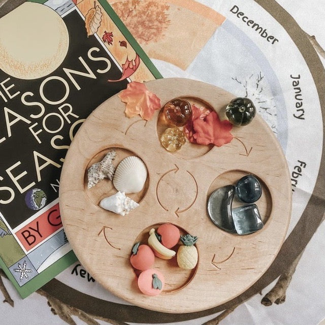 double sided wooden life cycle board