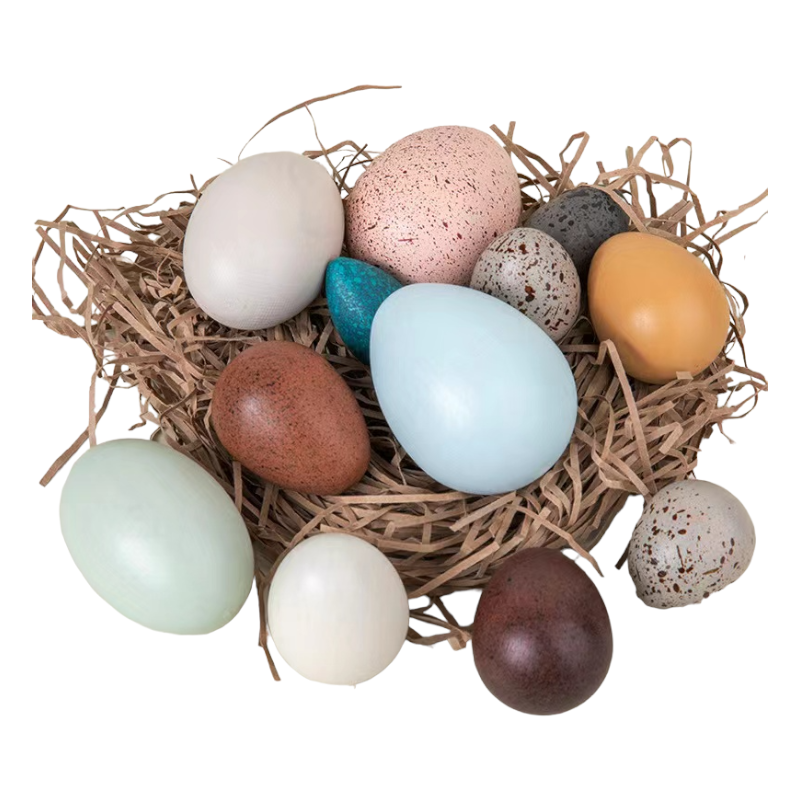 12-Piece Wooden Bird Egg Set