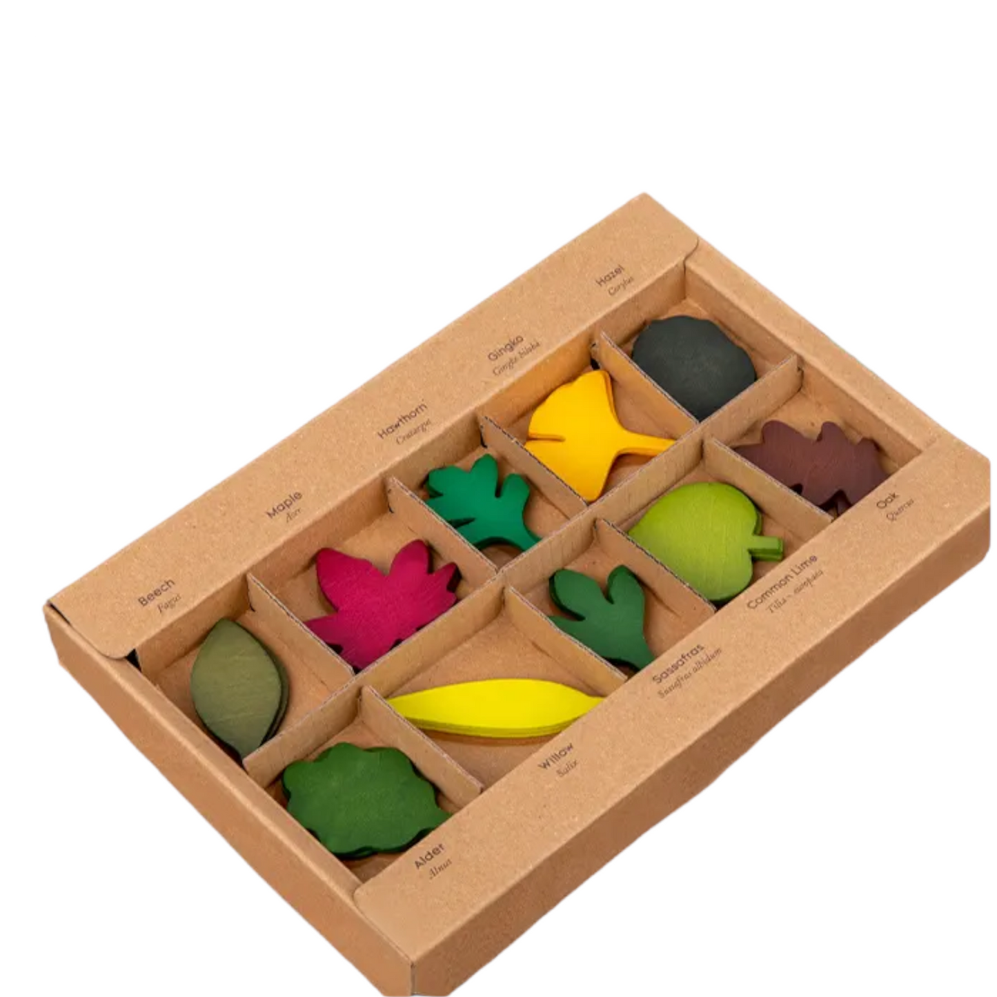 40 pcs woodland leaves wooden forest leaves set