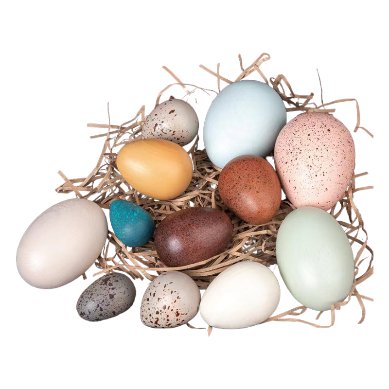 12 Pcs Wooden Bird Eggs Set