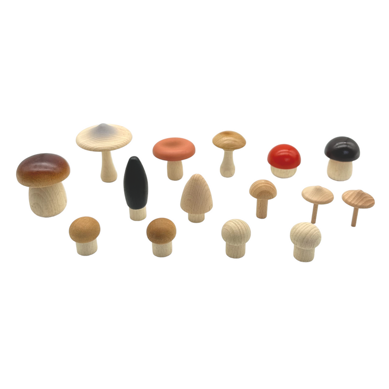 15 Pcs Handcrafted Colored Wooden Forest Mushrooms Set