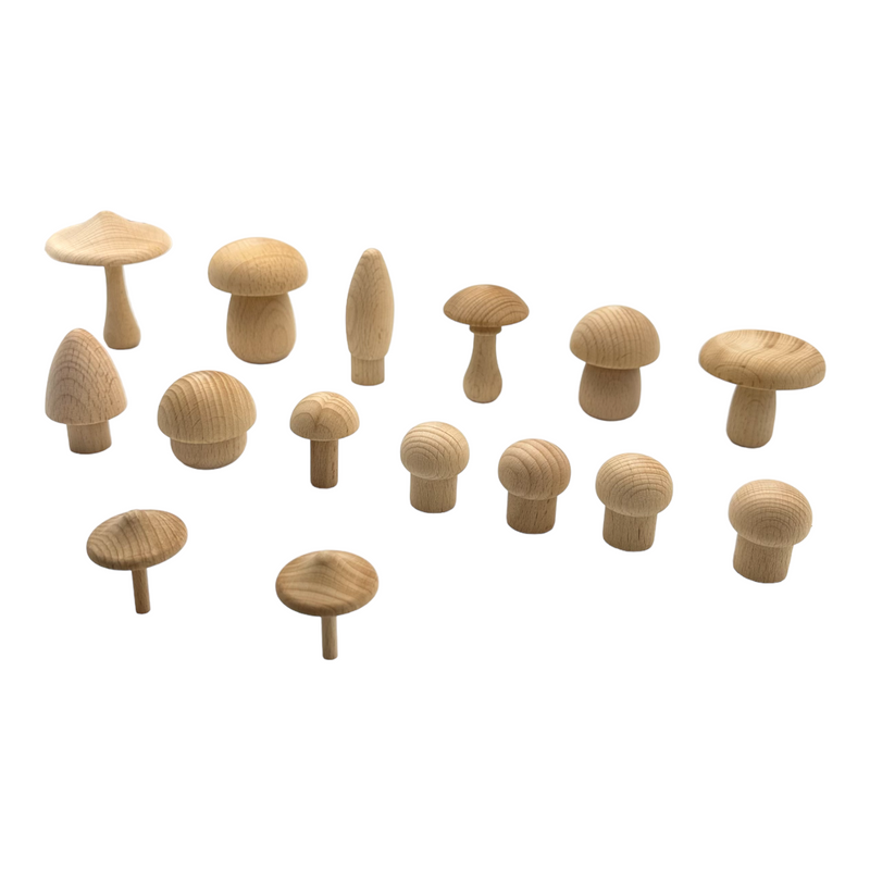 15 Pcs Handcrafted Natural Wooden Forest Mushrooms Set