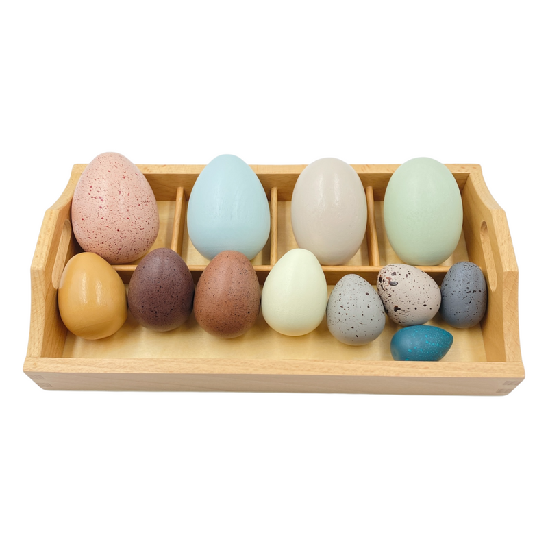 12 Pcs Wooden Bird Eggs Set